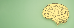 A drawing of a yellow brain sits on a green background