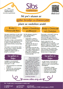 Image of Sibs general leaflet written in Welsh