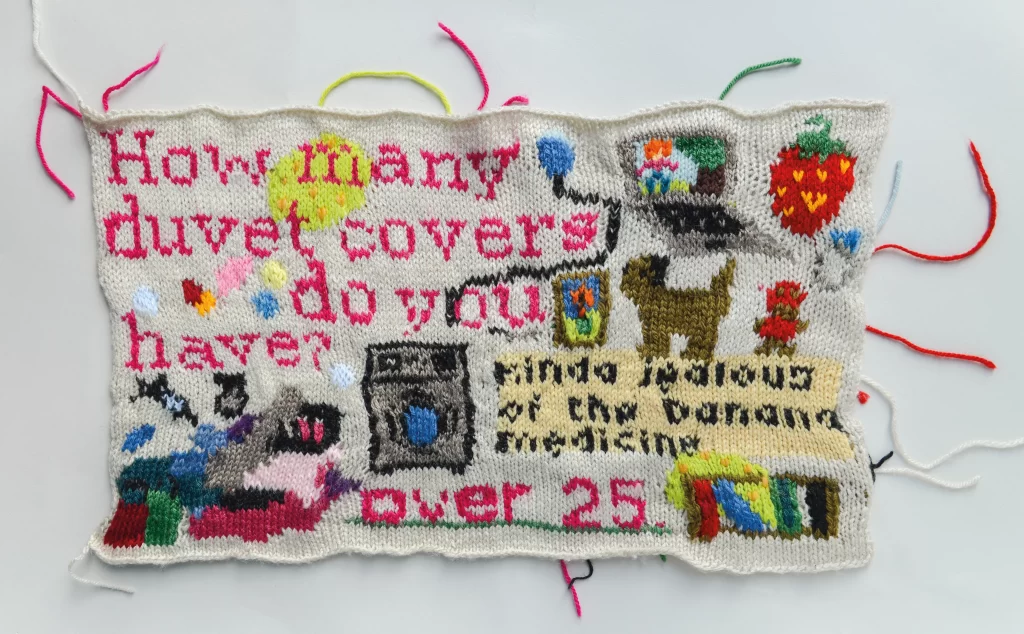 Needlework by Emily Robbins. Flat white panel with pink text that reads "How many duvet covers do you have?" "Over 25" with pictures of a washing machine, dog, strawberry and more. Black text on a yellow background reads: "Kind jealous of the banana medicine"